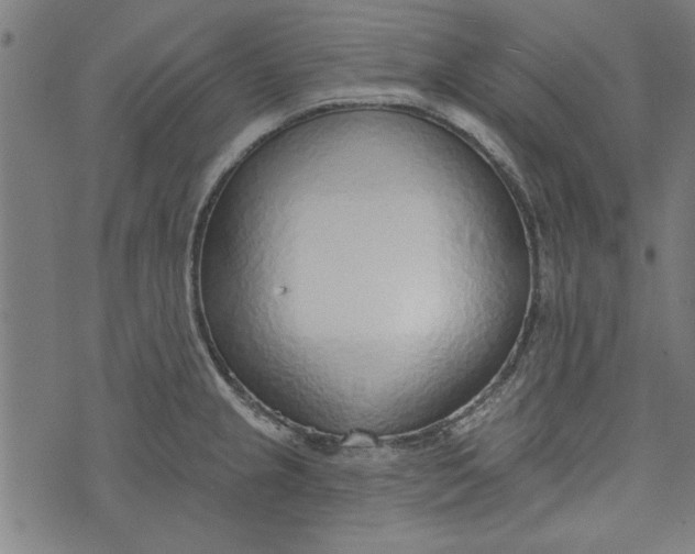 X0000073991237200609111525