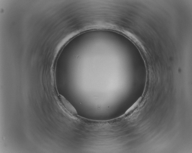 X0000073991238200609111525