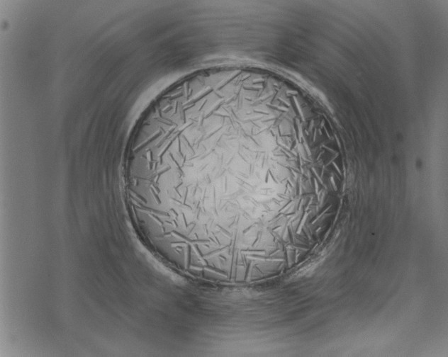 X0000073991239200609111525