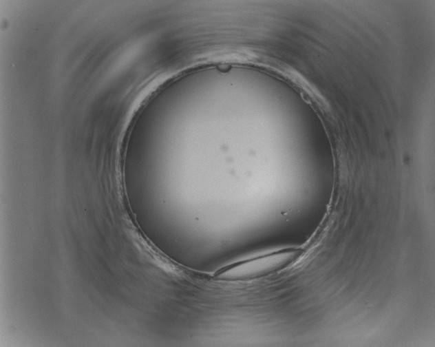 X0000073991240200609111525