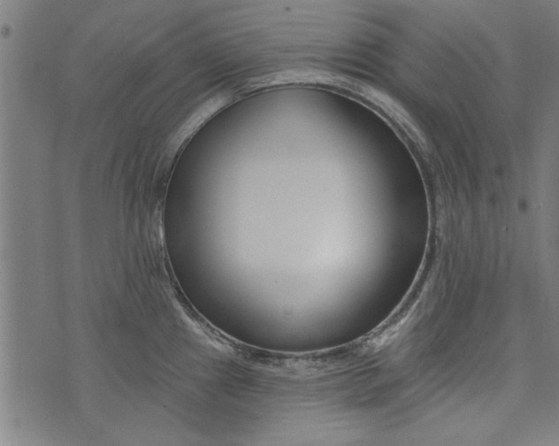 X0000073991241200609111525