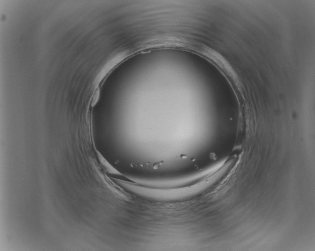 X0000073991242200609111525