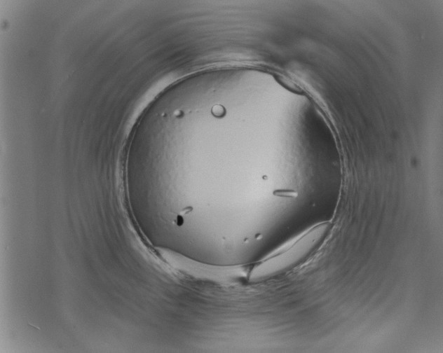 X0000073991243200609111525