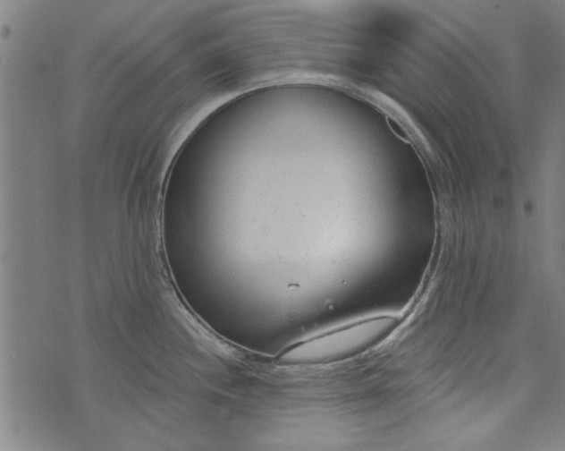 X0000073991244200609111525