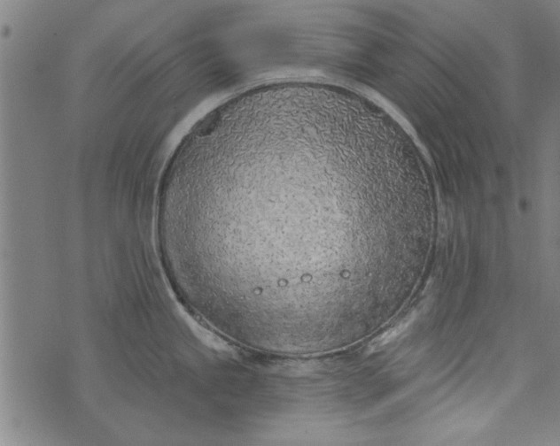 X0000073991245200609111525