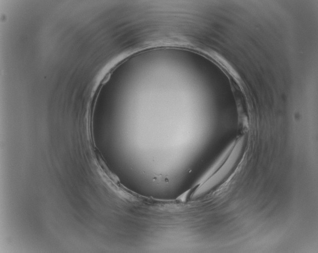 X0000073991246200609111525