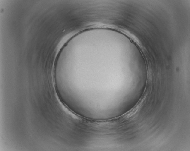 X0000073991247200609111525