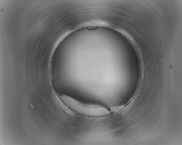 X0000073991248200609111525