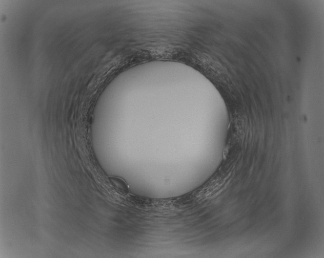 X0000073991249200609111524