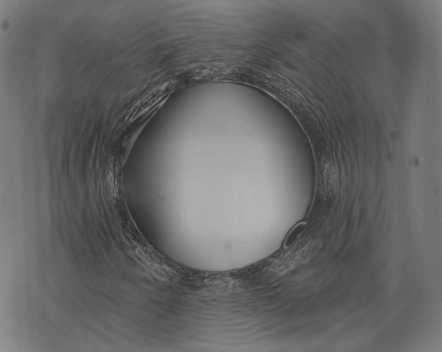 X0000073991250200609111524