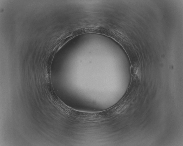 X0000073991252200609111524