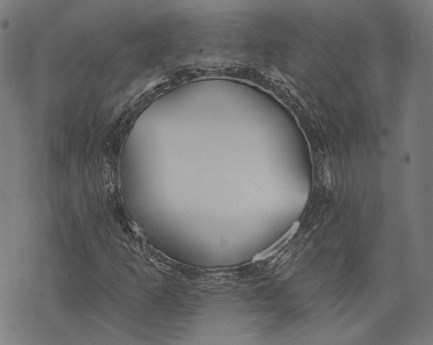 X0000073991253200609111524