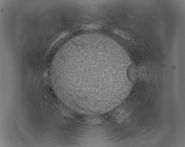 X0000073991254200609111524