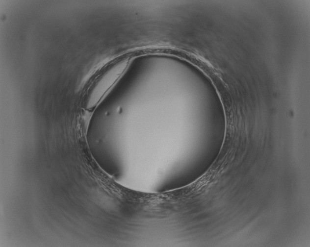 X0000073991255200609111524