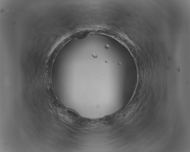 X0000073991256200609111524