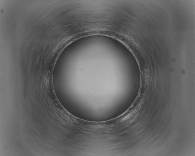 X0000073991257200609111524