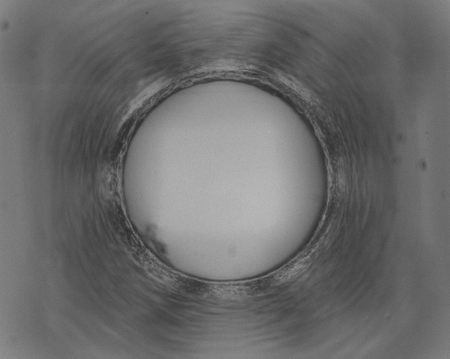 X0000073991258200609111524