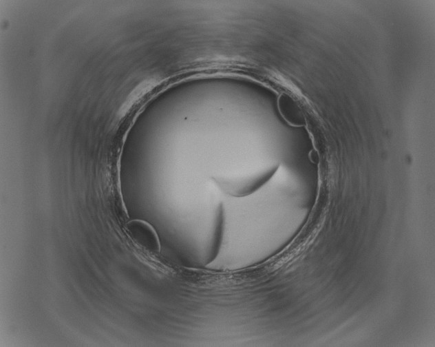 X0000073991259200609111524