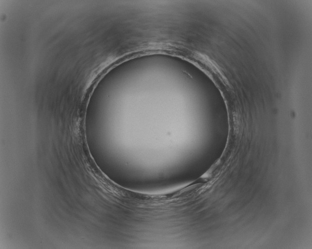 X0000073991260200609111524