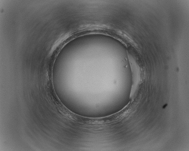 X0000073991261200609111524