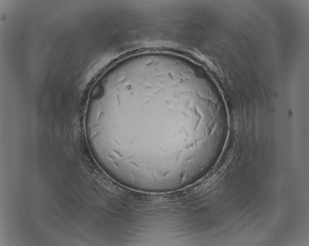 X0000073991263200609111524