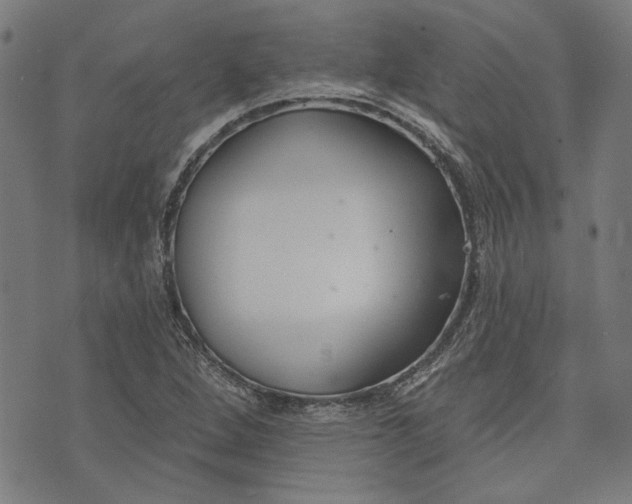 X0000073991264200609111524