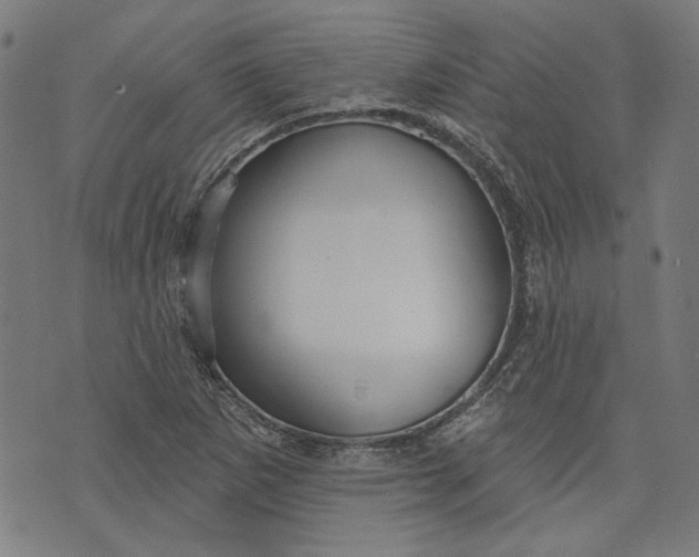 X0000073991265200609111524