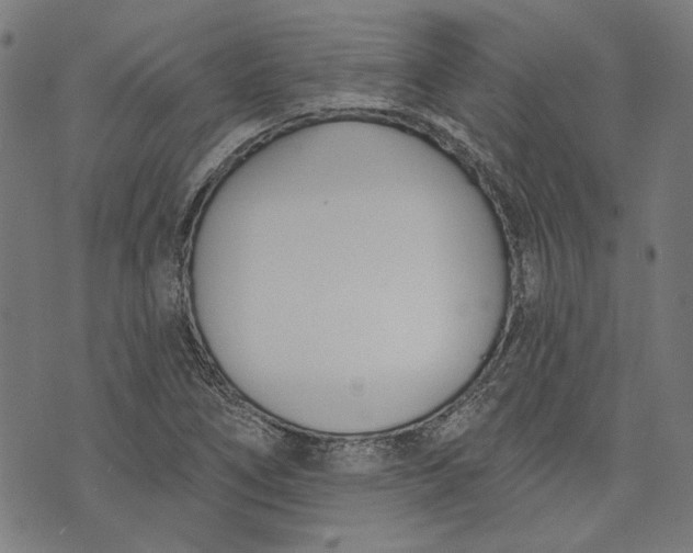 X0000073991266200609111524