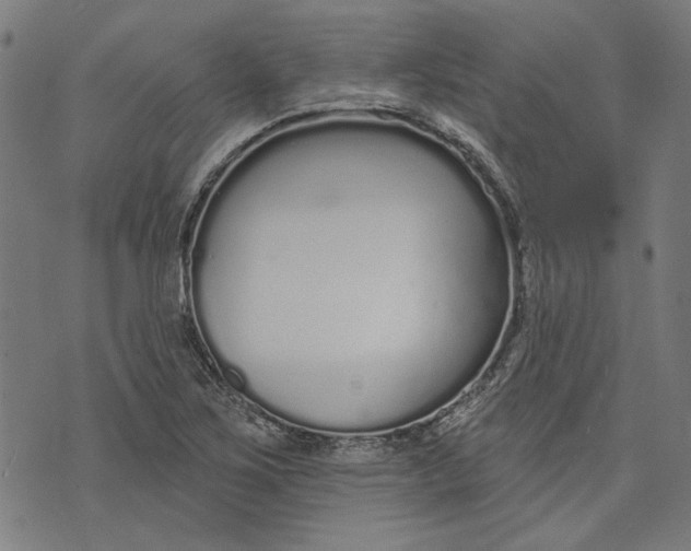 X0000073991267200609111524