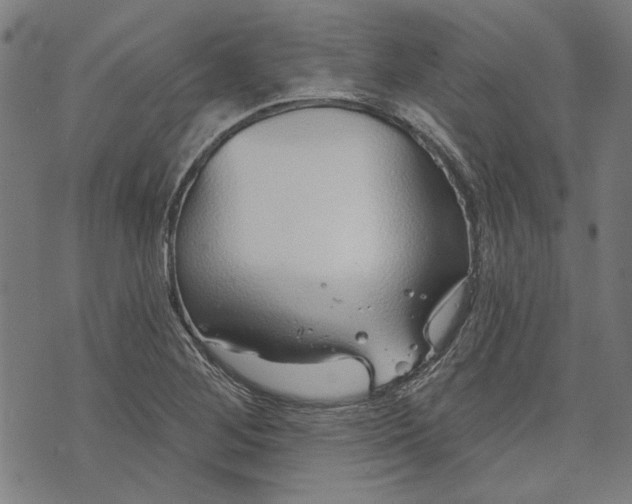 X0000073991268200609111524