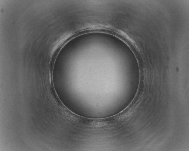 X0000073991269200609111524