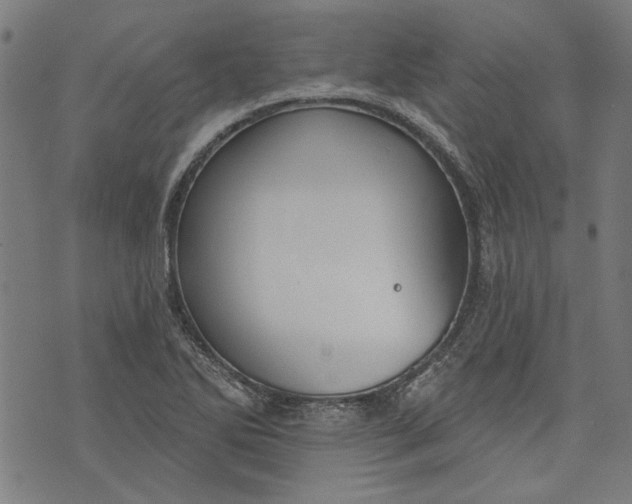 X0000073991270200609111524