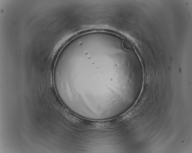 X0000073991271200609111524