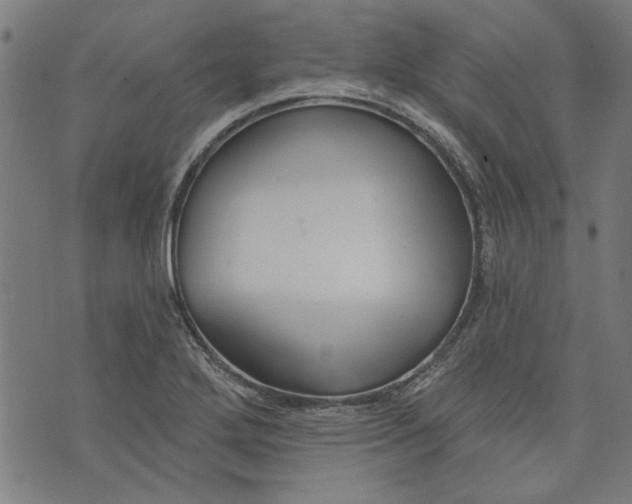 X0000073991272200609111524