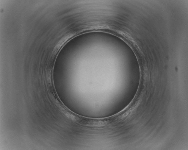 X0000073991273200609111524