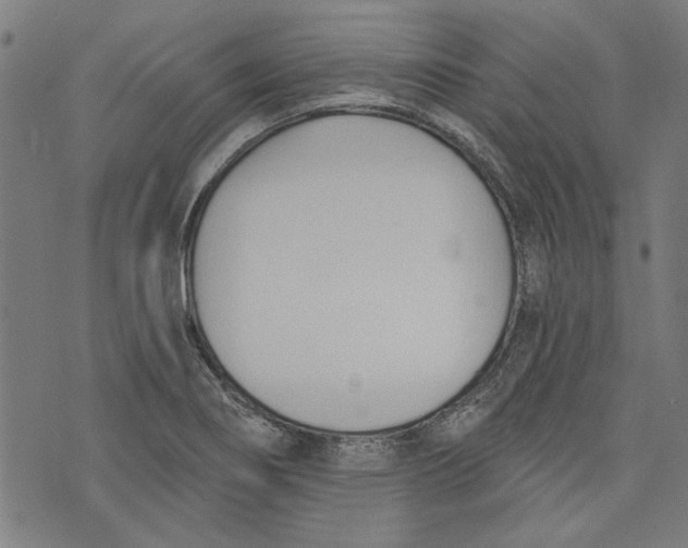 X0000073991274200609111524