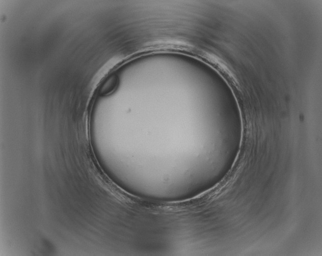 X0000073991275200609111524