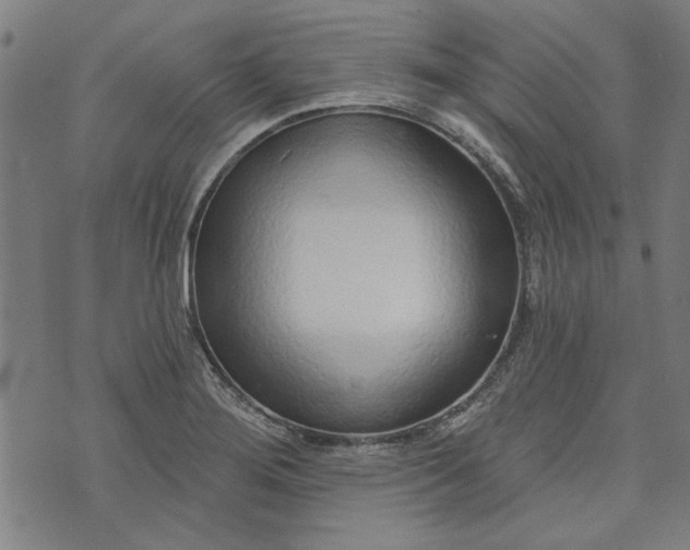 X0000073991276200609111524