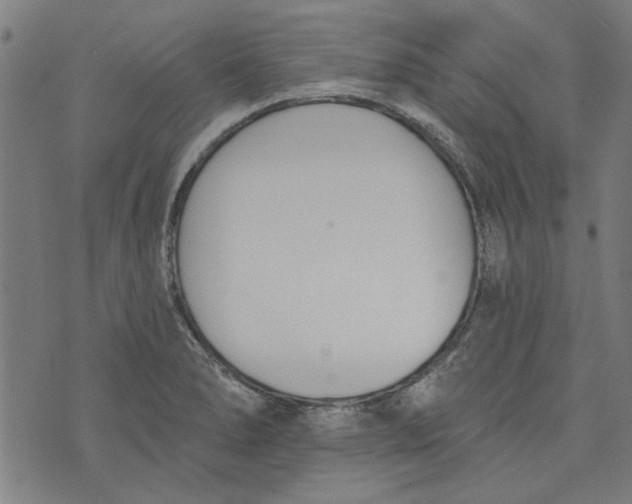 X0000073991278200609111524