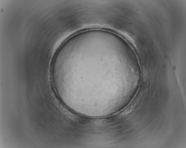 X0000073991279200609111524