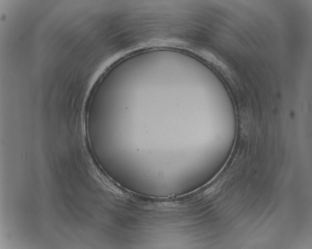 X0000073991280200609111524