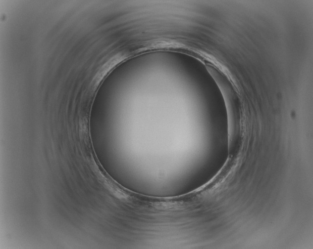 X0000073991281200609111524