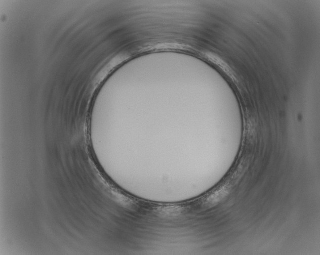 X0000073991282200609111524