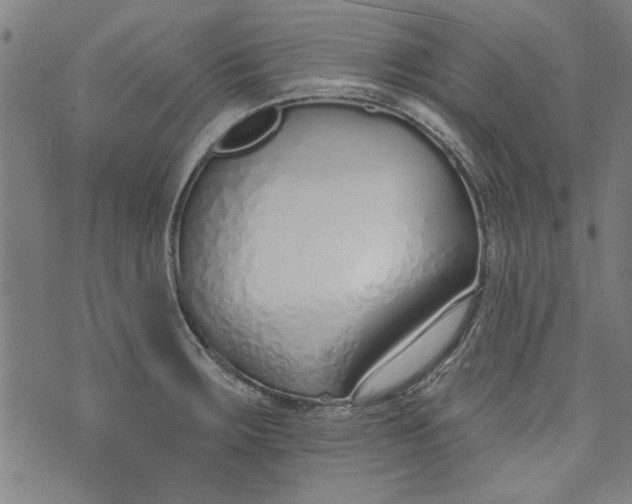 X0000073991283200609111524