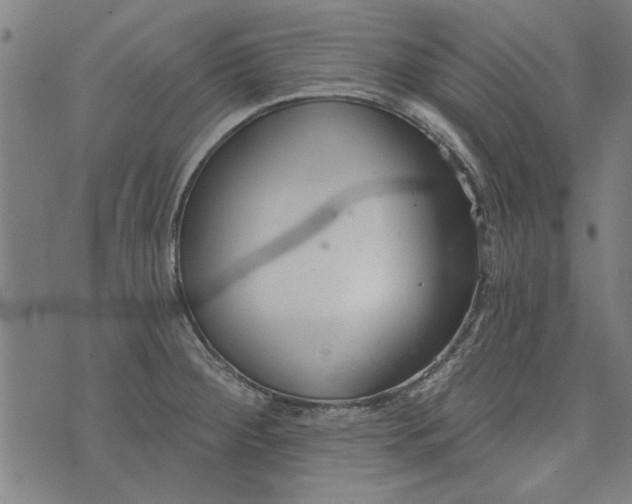 X0000073991284200609111524