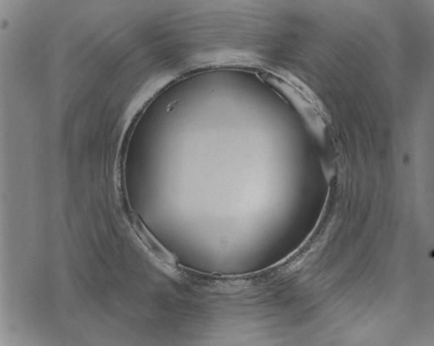 X0000073991285200609111524