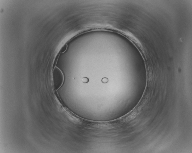 X0000073991287200609111524