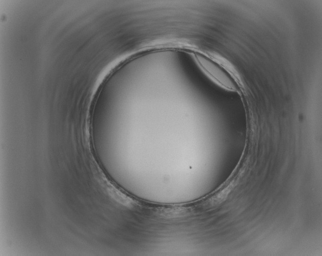 X0000073991288200609111524