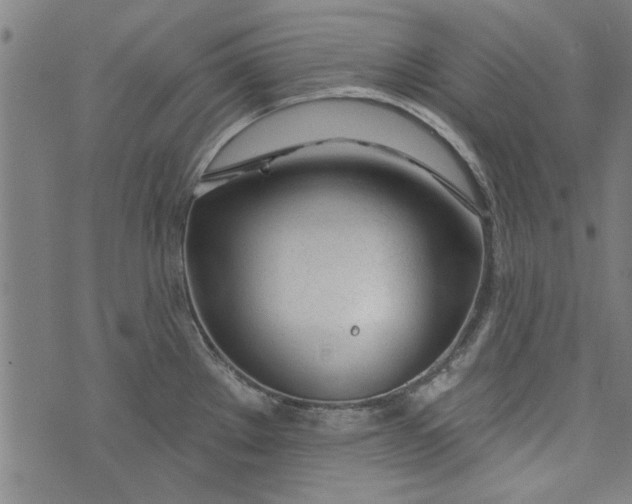 X0000073991289200609111524