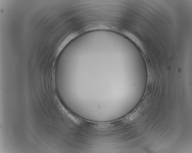 X0000073991290200609111524